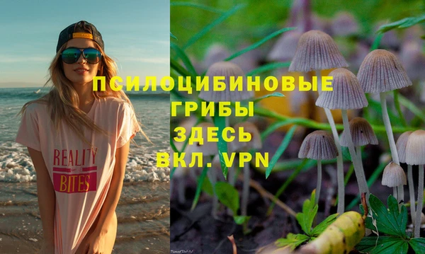 крисы Ладушкин