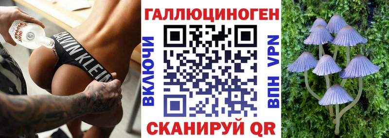 Купить  Котовск  Галлюциногенные грибы прущие грибы 