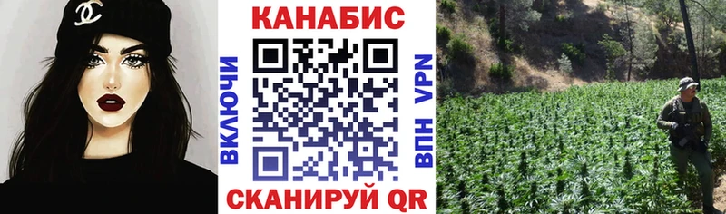 Каннабис ГИДРОПОН  Купить где  Котовск 